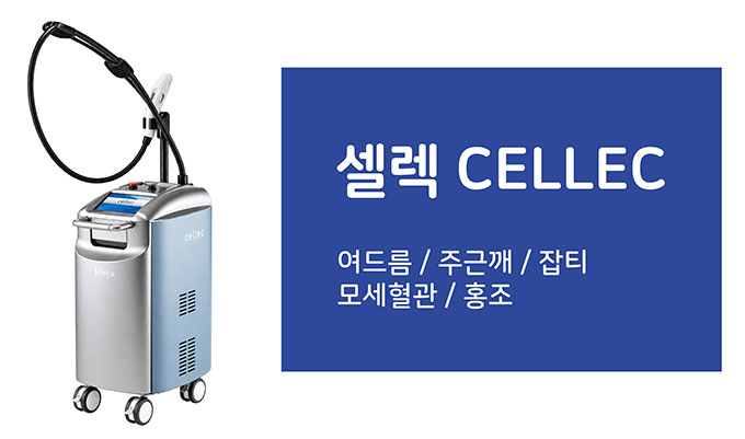 셀렉